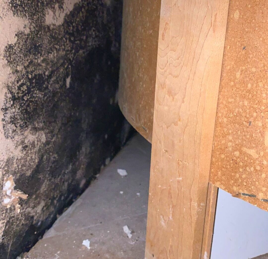 mold growth in Port St. Lucie Florida home requiring mold remediation and removal services
