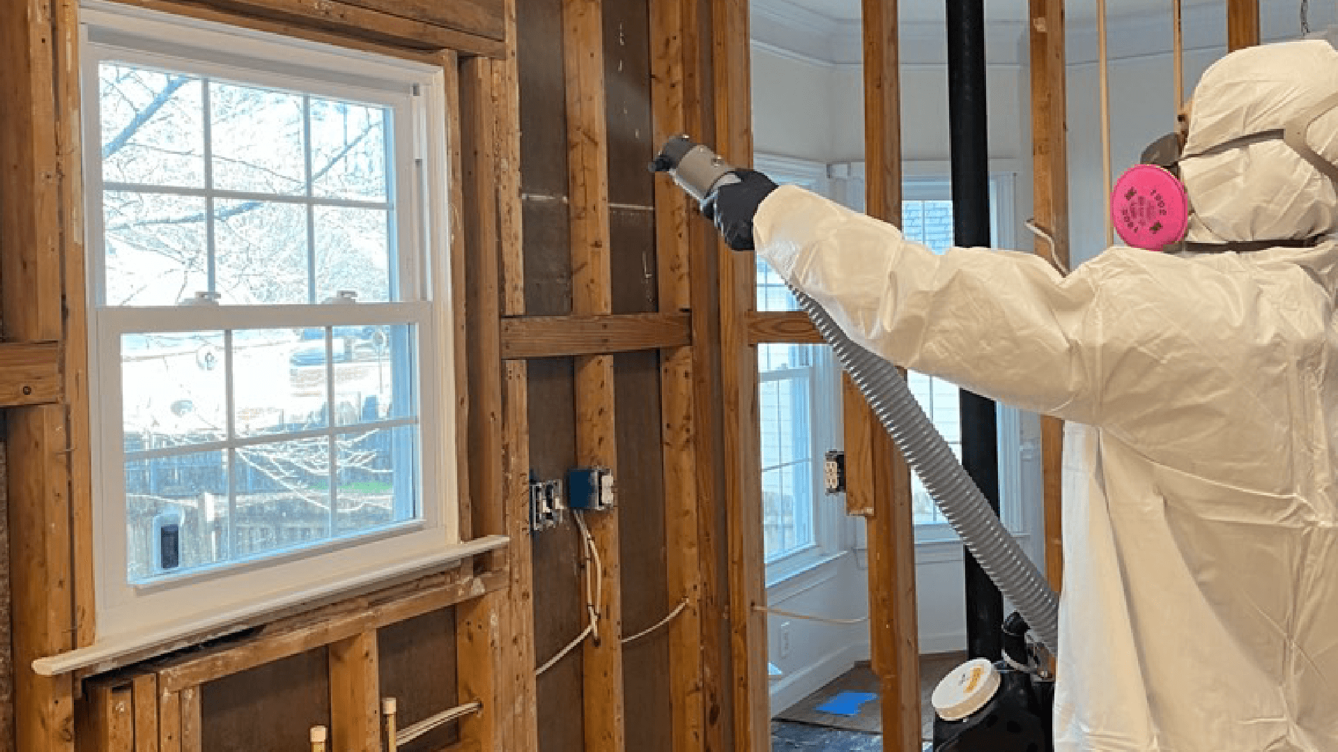 Photo inspiration: Visual Reference: Best Port St Lucie Mold Remediation Company