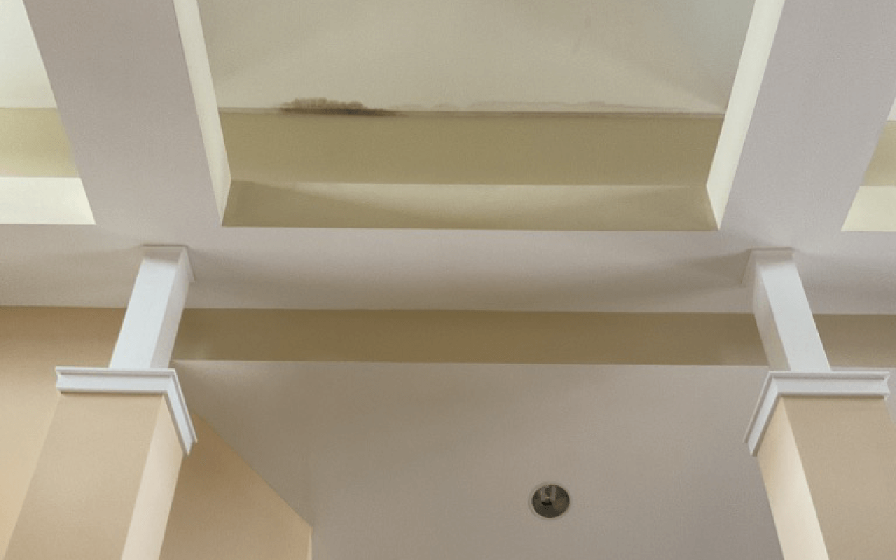 Vero Beach Commercial Mold Remediation Services by Rytech Restoration