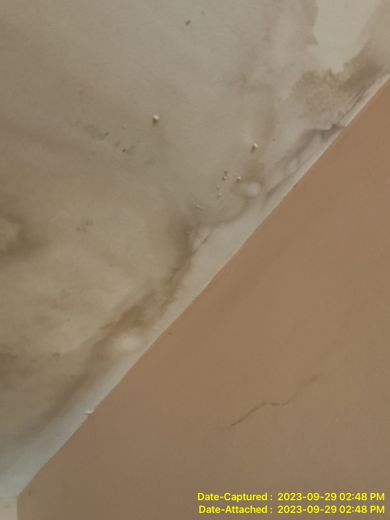 Rytech Treasure Coast is here to assist 24/7 with emergency water damage