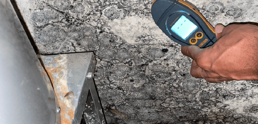 Mold growth in a home in Port St Lucie Fl