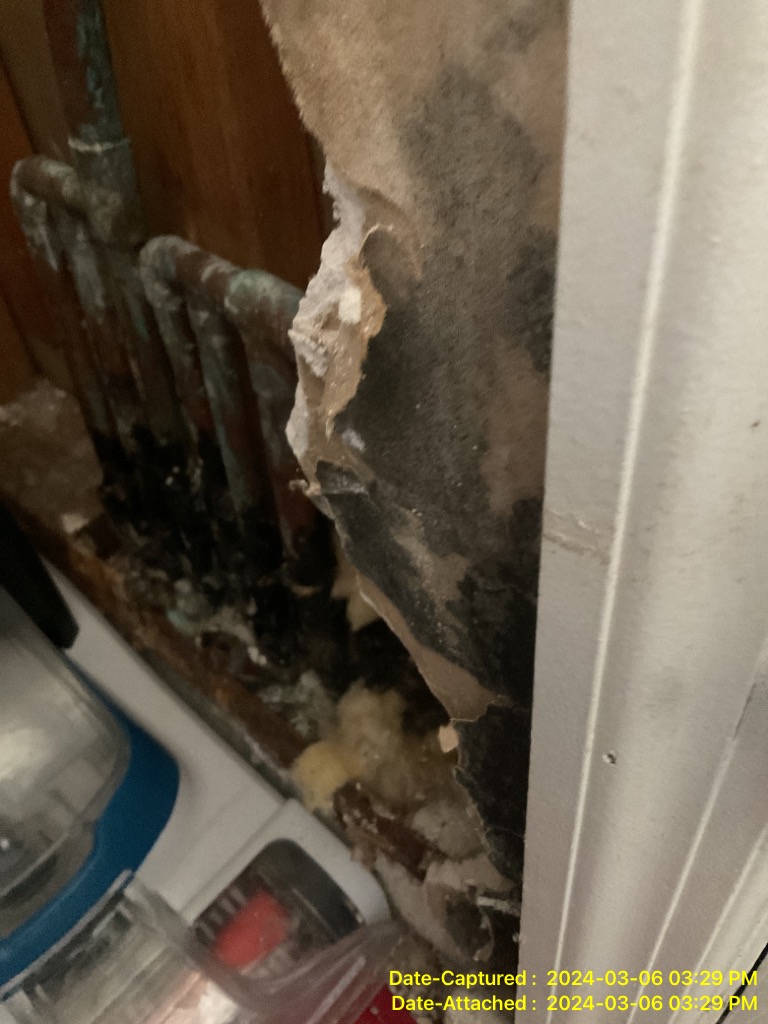 mold growth requiring mold remediation services in Port St. Lucie Fl 34953 home