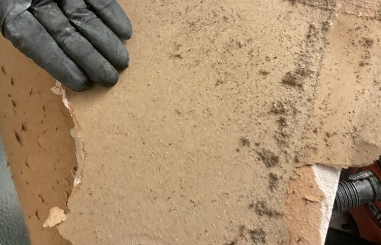 Water Damage and Mold growth found during mold inspection in Stuart Fl 34997 home