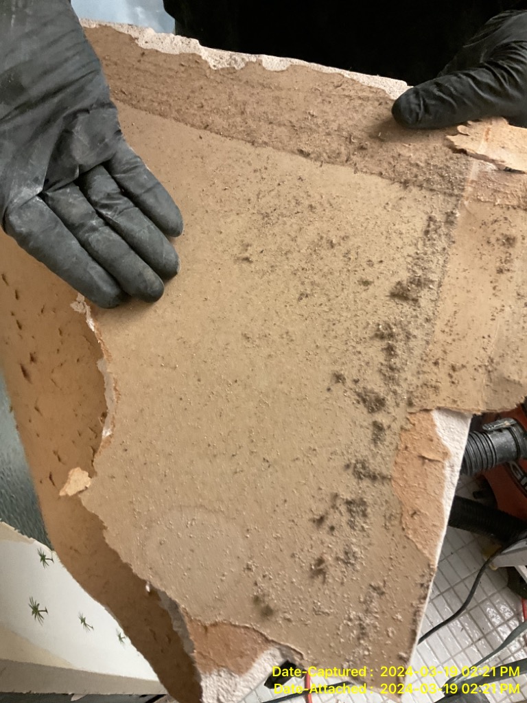 Water Damage and Mold growth found during mold inspection in Stuart Fl 34997 home