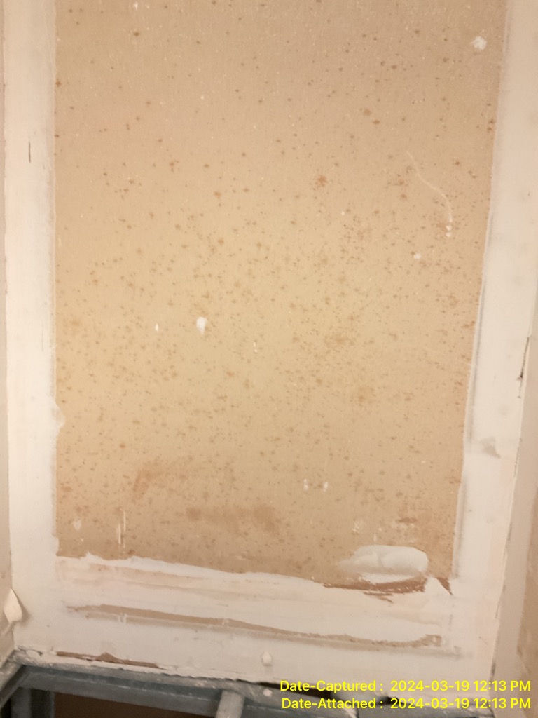 mold inspection in Stuart Fl 34997 home
