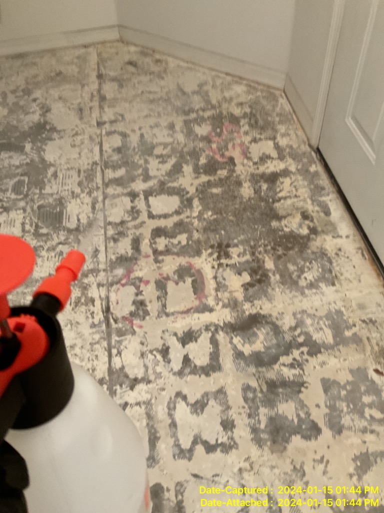 What are the common signs of mold in Port St. Lucie, FL?