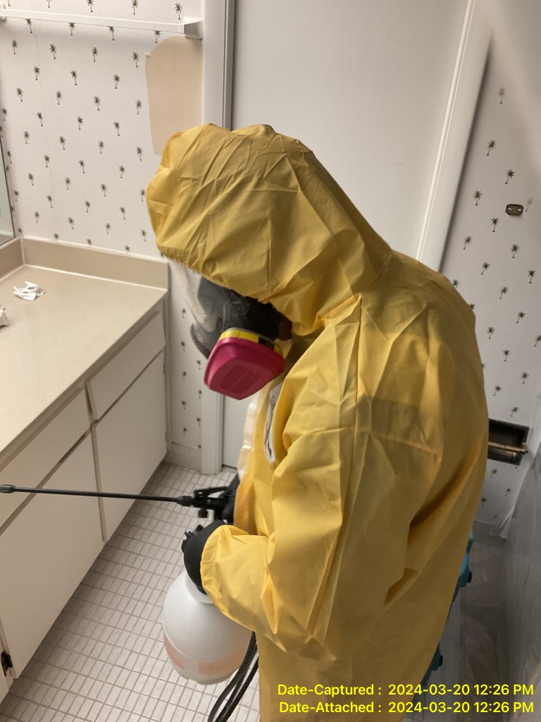 mold remediation specialists in Stuart Fl 34997 home
