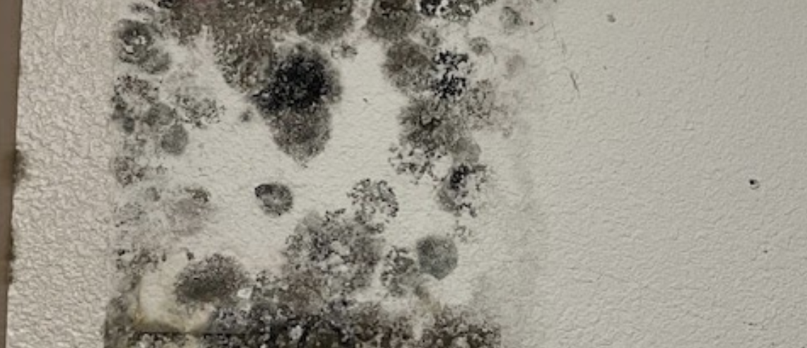 Mold remediation before and after in Port St. Lucie, FL