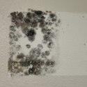 Mold remediation before and after in Port St. Lucie, FL