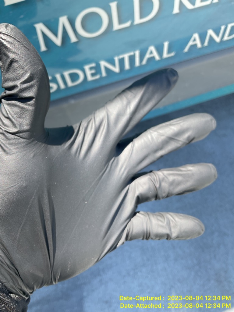 Protective Glove For Mold Cleaning After Remediation